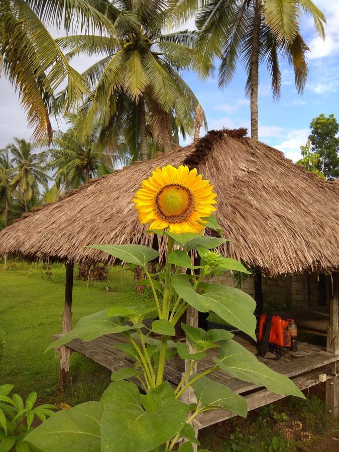 Dedy'S Homestay Kuta  Eksteriør bilde